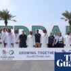 Saudi Arabia World Cup bid report accused of ‘whitewashing’ rights abuses