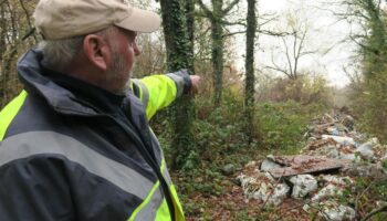 Seine-et-Marne : une plateforme en ligne contre les dépôts sauvages