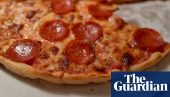 Side of cocaine with that? German police raid pizzeria after finding secret ingredient