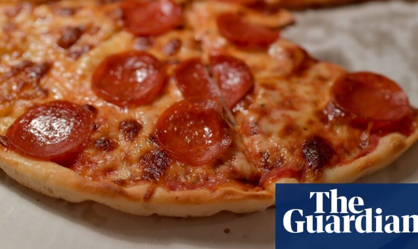 Side of cocaine with that? German police raid pizzeria after finding secret ingredient