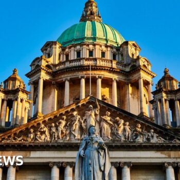 Sinn Féin employee resigns after damage to DUP portrait