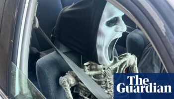 Skeleton crew: California driver nabbed for using plastic bag of bones as HOV lane passenger