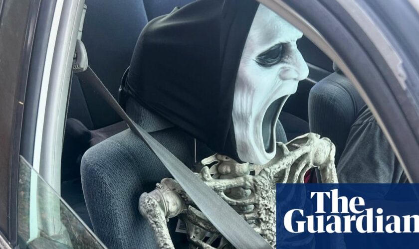 Skeleton crew: California driver nabbed for using plastic bag of bones as HOV lane passenger