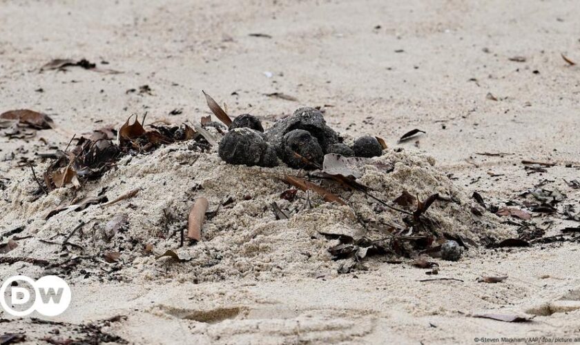 Sydney beaches closed over 'mysterious' black balls