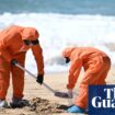 Sydney beaches reopen after tar balls wash ashore but mystery remains over source