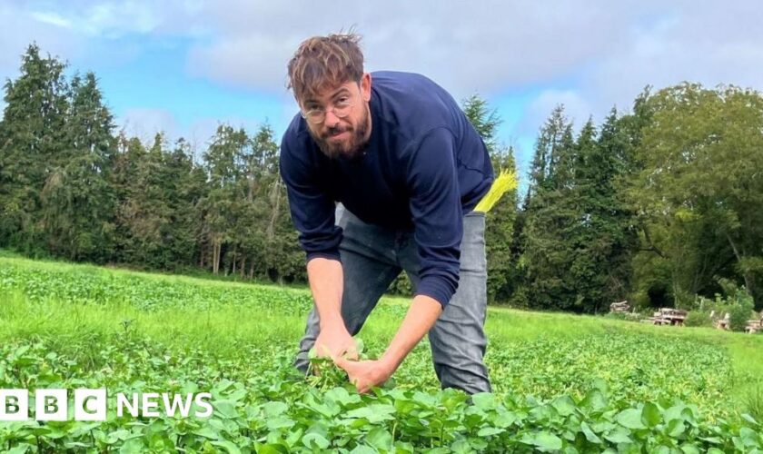 The city workers who found fulfilment in the fields