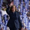 US election: Who is Democratic candidate Kamala Harris?