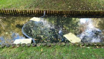 « Une horrible odeur de gazole » : alerte à la pollution dans le bassin du parc de Lesser à Ville-d’Avray