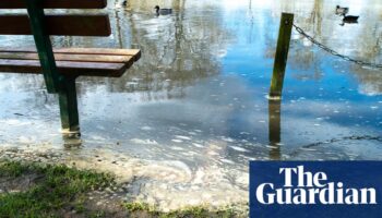 Water companies raise bonuses to £9.1m despite record sewage discharges