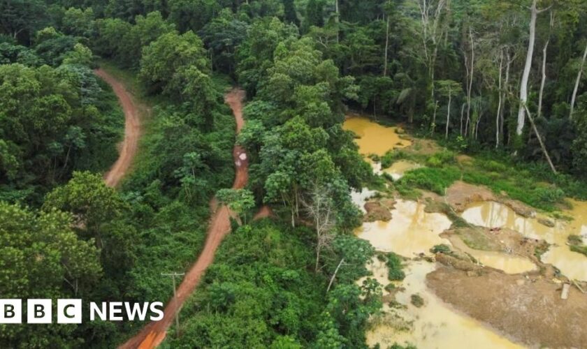 'We are poisoning ourselves': Ghana gold rush sparks environmental disaster