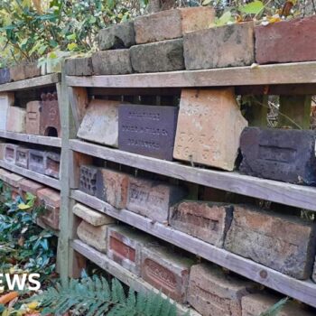 We've collected 6,000 bricks - now we need to find them a new home