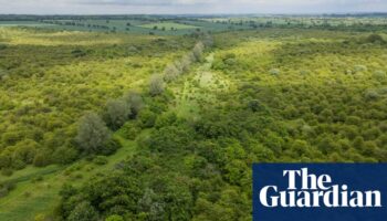 ‘A special place’: Guardian readers’ generosity helps to save rewilded farm