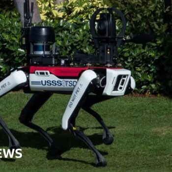 ‘Do not pet’: Why are robot dogs patrolling Mar-A-Lago?