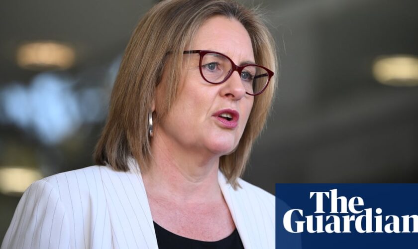 ‘Not acceptable’: accidental inclusion of year 12 exam content in VCE guides criticised by government