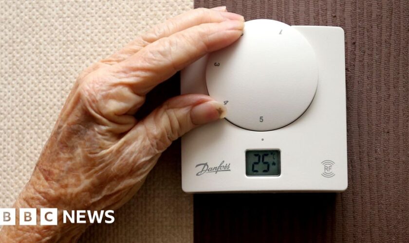 £100 payment to help pensioners with winter fuel cuts