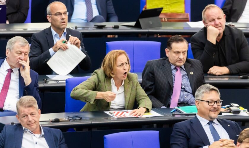 Tonfall im Bundestag: „Die AfD will die Demokratie lächerlich machen“