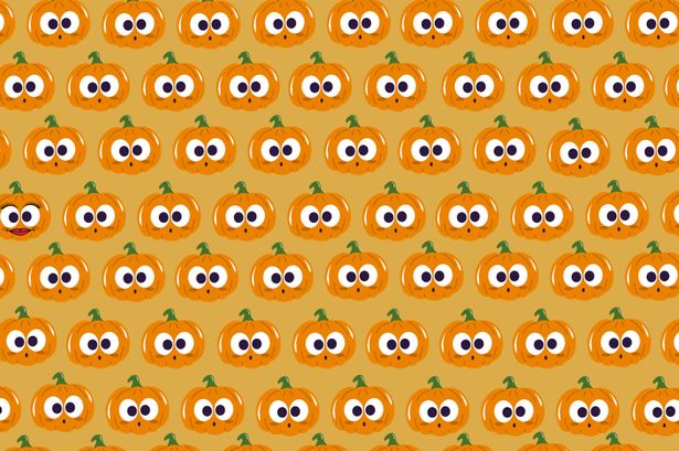 Only those with sharp vision can spot the hidden pumpkin in 30 seconds