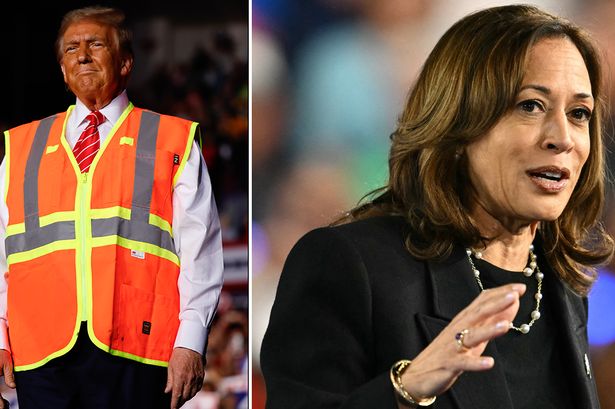 Kamala Harris taunts Donald Trump at US election rally as crowd chants 'lock him up'