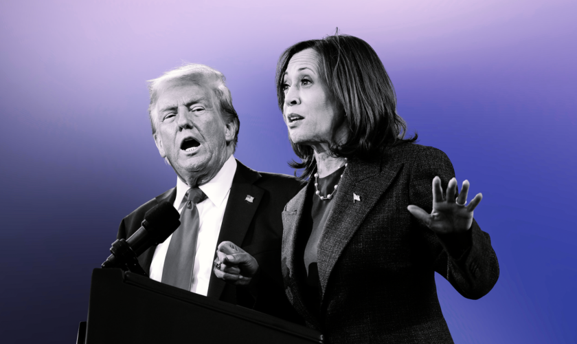 Wahl in den USA: Was Trump und Harris den Amerikanern versprechen