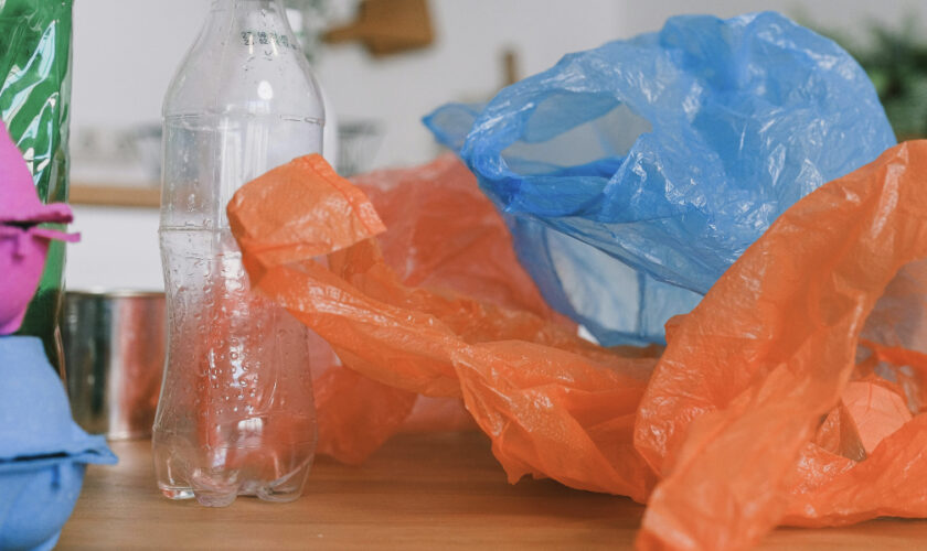 La Suède supprime la taxe sur les sacs plastiques