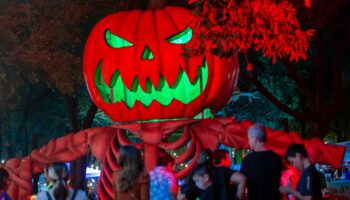 La soirée d’Halloween à Dublin se transforme en chaos à cause d’une mauvaise blague