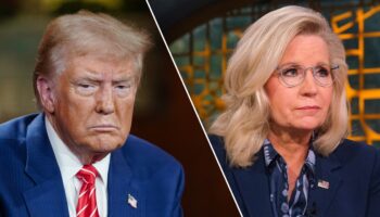 Trump criticism of Liz Cheney as 'radical war hawk' framed as call for violence by 'irresponsible' media