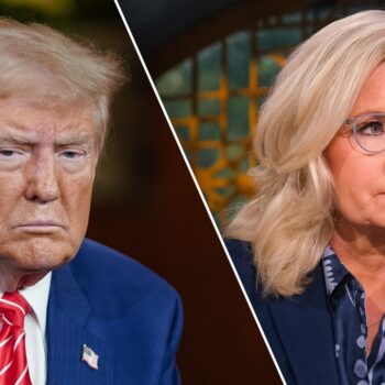 Trump criticism of Liz Cheney as 'radical war hawk' framed as call for violence by 'irresponsible' media