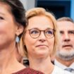 Warum sind Wagenknecht und Wolf in einer Partei?