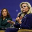 US-Wahlkampf: Liz Cheney warnt nach erneuter Attacke vor Donald Trump