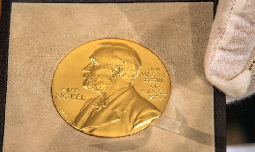 La médaille Nobel. Les travaux sur les nouveaux matériaux et l'intelligence artificielle figurent en bonne position pour le prix de chimie 2024