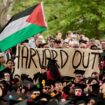 Harvard, Northwestern failed Jewish students during college campus protests: House report