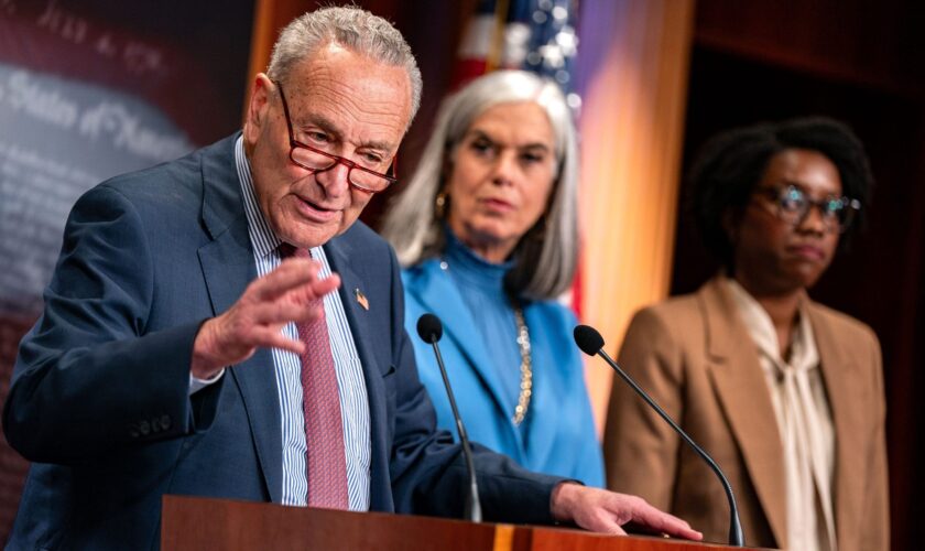 Opponents of antisemitism on campus frustrated by Schumer's failure to move on legislation: 'Stunning'