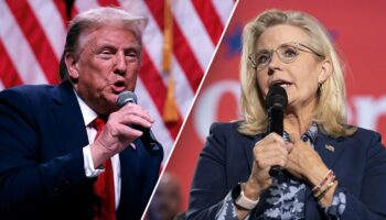 Even liberals, Trump critics blast media's coverage of Liz Cheney comments: 'A bald-faced lie'