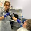 Nina Glazzard, an advanced clinical practitioner for ears, nose and throat, using an endoscope-I adapter on Janet Hennessy, 76, from Bradeley, Stoke-on-Trent, as part of a trial at North Midlands University Hospitals NHS Trust. The adapter includes a 32mm lens that attaches to an iPhone, turning it into a portable endoscope to help the NHS rule out throat cancer in patients faster. Issue date: Saturday November 2, 2024.