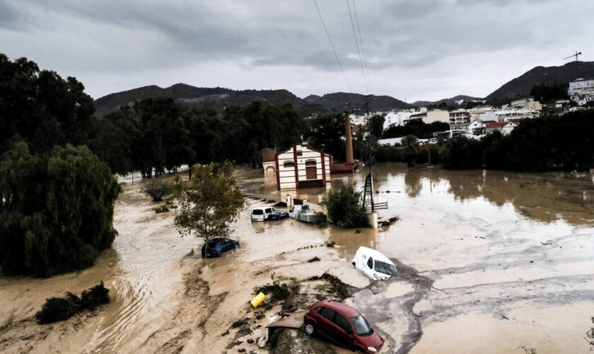 Sachets de nicotine bientôt interdits, inondations en Espagne, la palme d’or 2024 au cinéma… L’actu de ce mercredi matin