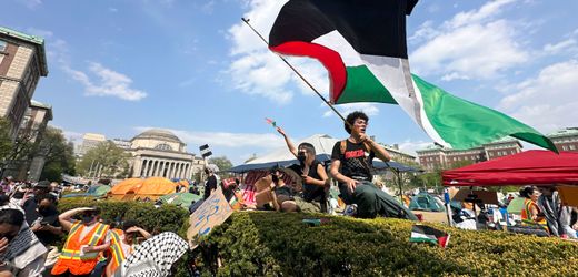 Columbia-Universität: Student greift Demonstranten an, wird suspendiert und nun entschädigt