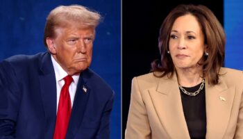 Combo photo de Kamala Harris et Donald Trump, créé le 25 octobre 2024