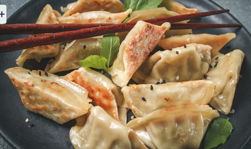 Asiatische Teigtaschen: Das Einmaleins der gefrorenen Dumplings