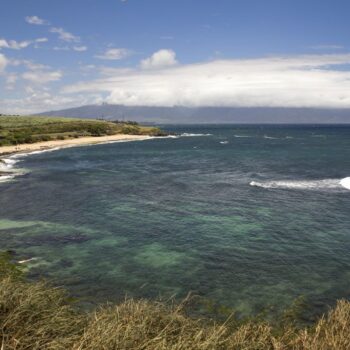 Birds fly over Ho'okipa Beach Park in Paia, Maui, Hawaii July 31, 2015. Pic: Reuters