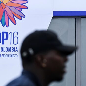 La COP16, à Cali, en Colombie, est censée se terminer par un accord vendredi 1er novembre 2024