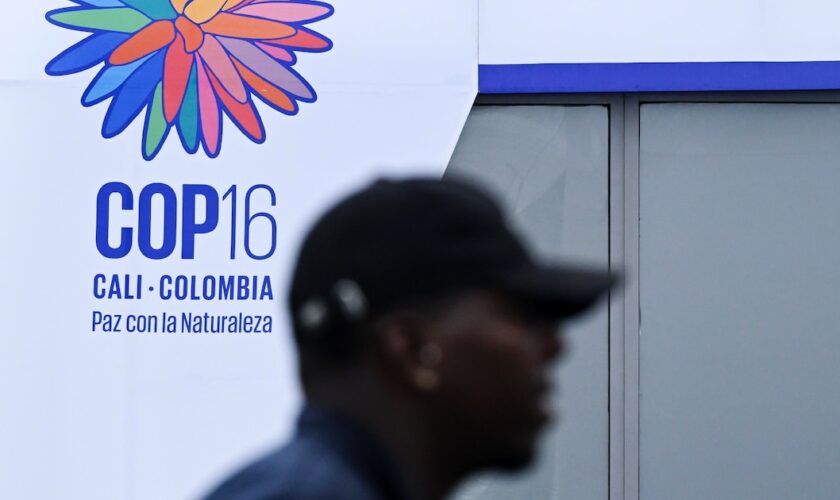 La COP16, à Cali, en Colombie, est censée se terminer par un accord vendredi 1er novembre 2024