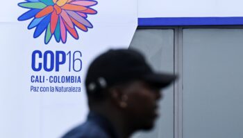 La COP16, à Cali, en Colombie, est censée se terminer par un accord vendredi 1er novembre 2024