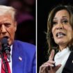 US-Wahl: Wer macht das Rennen? Trump und Harris im Wahlkampf-Endspurt in den Swing-States