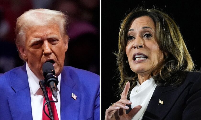 US-Wahl: Wer macht das Rennen? Trump und Harris im Wahlkampf-Endspurt in den Swing-States