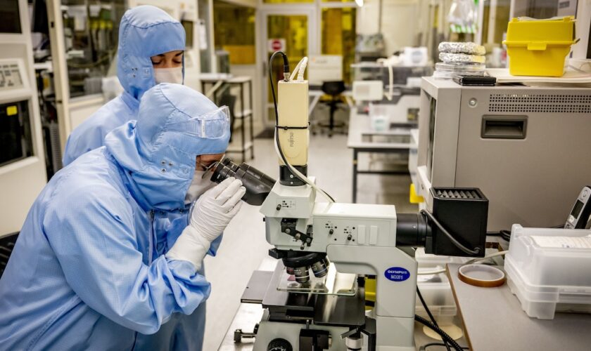 Des chercheurs dans le laboratoire du TU Campus de Delft, aux Pays-Bas.