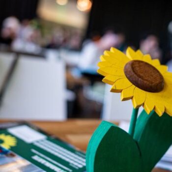 Die Sonnenblume gehört zum Logo der Grünen, die nach den Wahlniederlagen raus aus der Krise wollen. (Archivbild) Foto: Fabian So