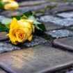 Unbekannte haben in Oschersleben einen Stolperstein für NS-Opfer gestohlen. (Archivfoto) Foto: Sascha Lotz/dpa