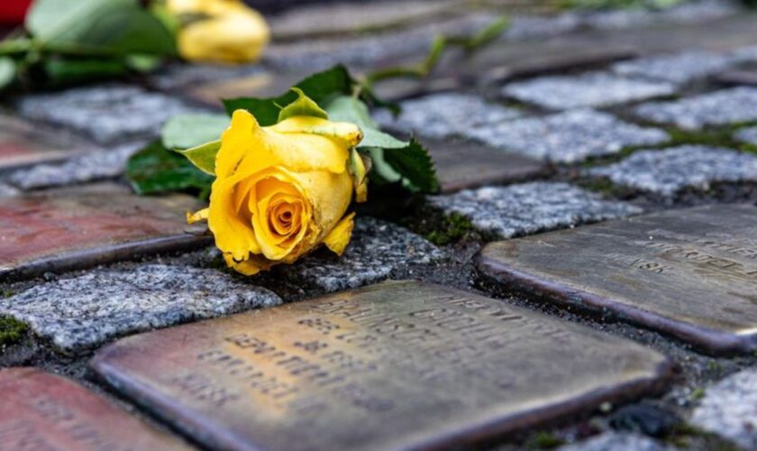 Unbekannte haben in Oschersleben einen Stolperstein für NS-Opfer gestohlen. (Archivfoto) Foto: Sascha Lotz/dpa