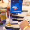 Mitglieder der AfD sitzen beim Landesparteitag der AfD Schleswig-Holstein im Bürgerhaus an ihren Plätzen. Foto: Georg Wendt/dpa