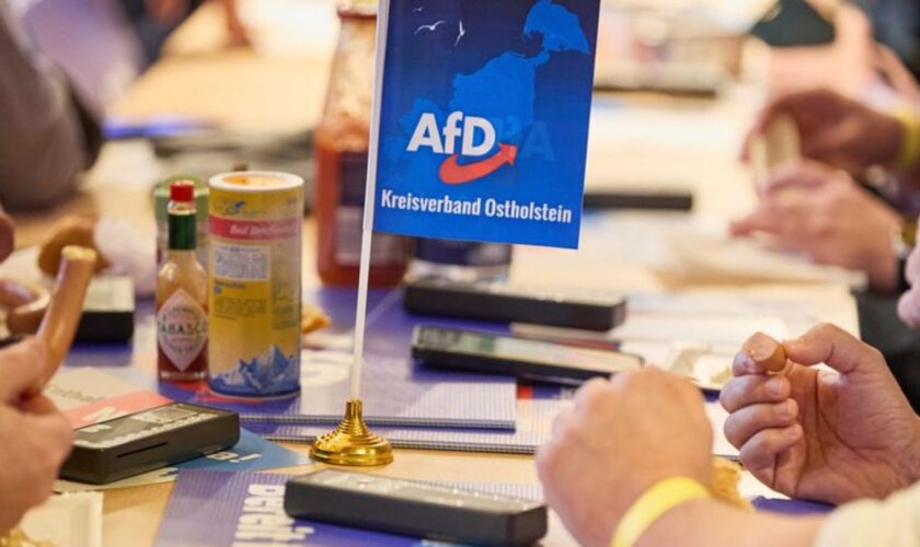 Mitglieder der AfD sitzen beim Landesparteitag der AfD Schleswig-Holstein im Bürgerhaus an ihren Plätzen. Foto: Georg Wendt/dpa